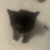 blurzz